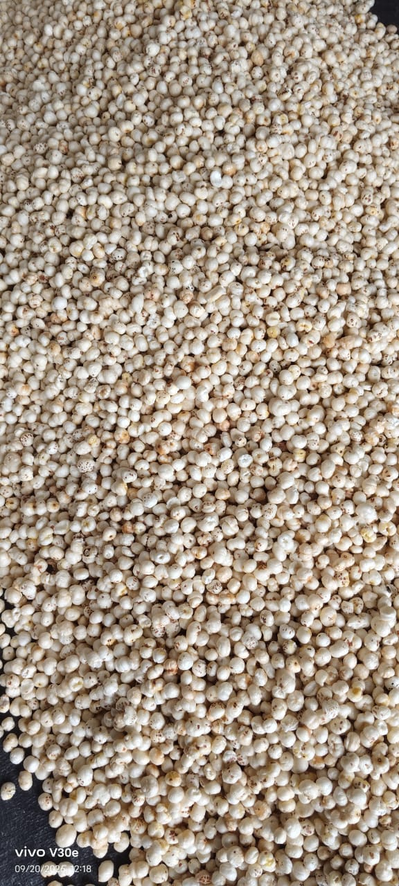 Makhana Sorting and Sizing